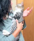 Lili