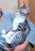 Lili