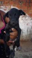 Sem nomes