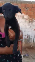 Sem nomes
