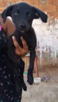 Sem nomes