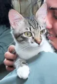 Lili