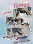 Sem nomes