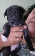 Sem nome