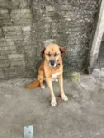 Bob