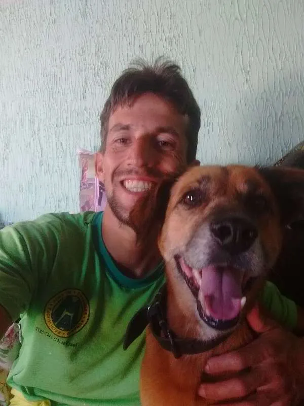 Cachorro ra a Sem Raça Definida  idade 6 ou mais anos nome Bob