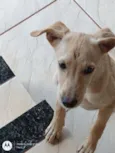 Não tem nome