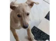 Não tem nome