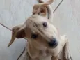 Não tem nome