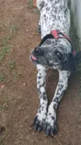 paçoca