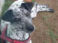paçoca
