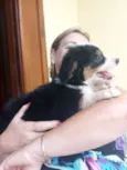 Não tem