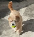 Jimmy