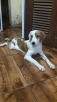 Lili
