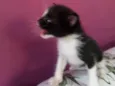 Miguel