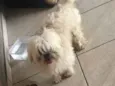 Marley 