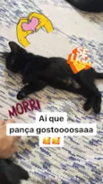 Isa