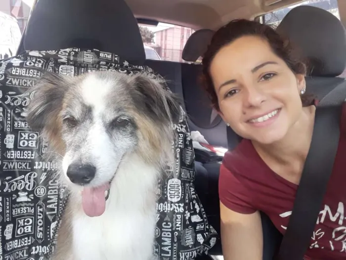 Cachorro ra a Não definida idade 6 ou mais anos nome Bilu