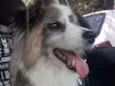 Bilu