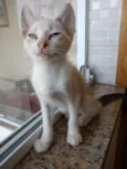 Nuvem lindo bebê