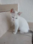 Nuvem lindo bebê