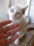 Nuvem lindo bebê