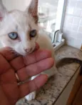 Nuvem lindo bebê