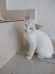Nuvem lindo bebê