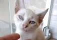 Nuvem lindo bebê
