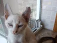 Nuvem lindo bebê