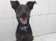 Matheus