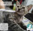 Não sei 