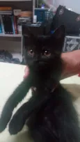 Selina