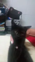 Selina