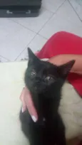 Selina