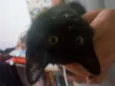 Selina