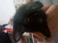 Selina