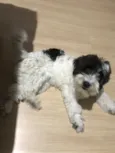 Julie