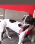 Julie