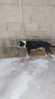 Nao tem ainda