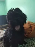 Indefinido