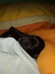 Indefinido