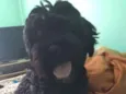 Indefinido