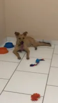 Minduin 