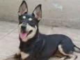 BABI
