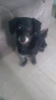 Boby