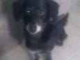Boby