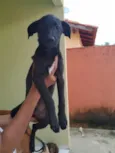 Hórus