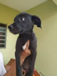 Hórus