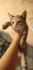 Frida